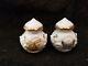 ANNA WEATHERLEY SPRING IN BUDAPEST BUTTERFLY PORCELAIN salt & pepper shakers