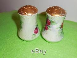 Collectible Rose Patern Vintage Decorative Salt & Pepper Shaker Table Set