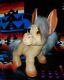 Dam Things 1964 Troll Donkey, 9, Vintage, salt and pepper hair, nice condition
