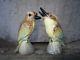 Darbyshire Australian Pottery Kookaburra Salt & Pepper Shakers