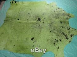 Dyed Green Cowhide Rug Size 7' X 6.7' Dyed Green on Salt & Pepper Cowhide C-447