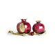 Quest Collection Pomegranate Salt & Pepper Set