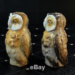 Royal Bayreuth Figural Barn Owl Salt & Pepper Shakers Super Rare