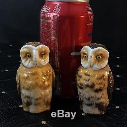 Royal Bayreuth Figural Barn Owl Salt & Pepper Shakers Super Rare