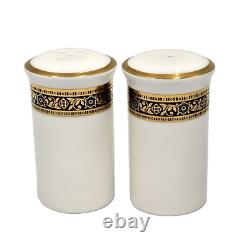 Royal Doulton HARLOW Salt & Pepper Shaker Set(s) UNUSED MINT Bone China