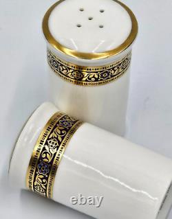 Royal Doulton HARLOW Salt & Pepper Shaker Set(s) UNUSED MINT Bone China