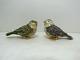 Signed Jay Strongwater Jeweled Song Birds Salt & Pepper Shakers