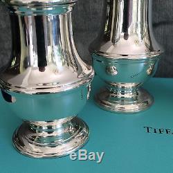 Tiffany Salt and Pepper Shaker Set