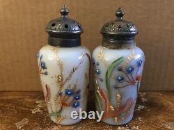 VICTORIAN GLASS Opalescent Hand Painted Salt Pepper Shaker with Meriden Stand