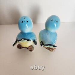 VTG Ceramic Anthropomorphic Blue Birds With Eye Lashes Salt & Pepper Shakers