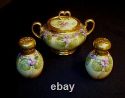 W. Guerin Limoges Hand Painted sugar bowl, salt and pepper shakers stunning